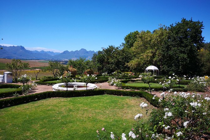 Private Cape Winelands from Stellenbosch OR Franschhoek OR Paarl - History between the vineyards