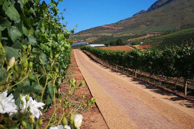 Private Cape Winelands from Stellenbosch OR Franschhoek OR Paarl - Franschhoek Cellar and five wines