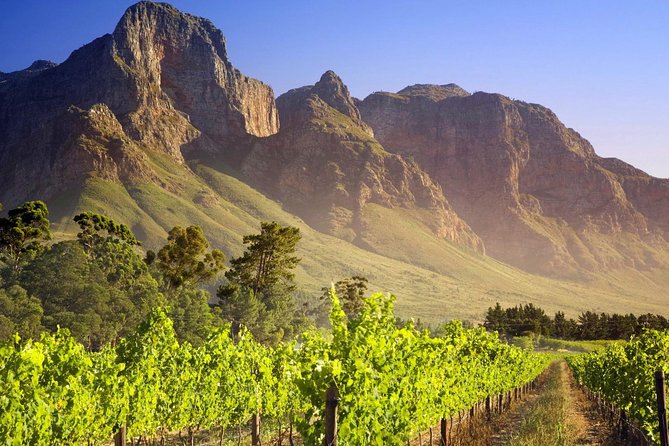 Private Cape Winelands Guided Full Day Tour from Cape Town - La Motte for an estate with history and polish