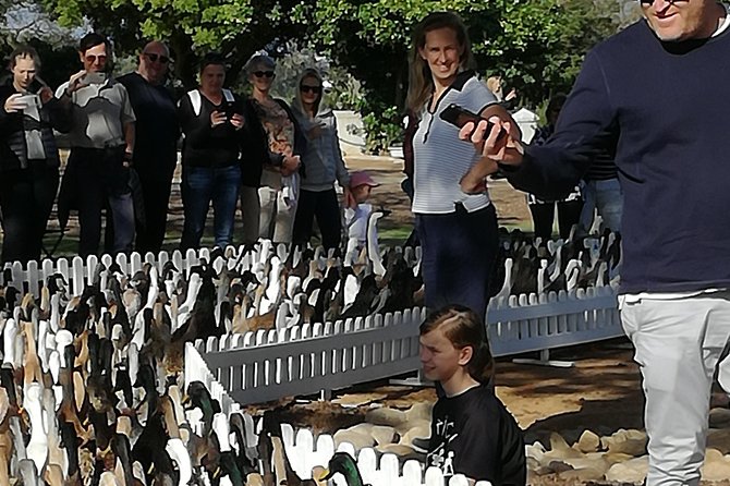 Private Cape Winelands Guided Full Day Tour from Cape Town - Understanding the $115.44 price