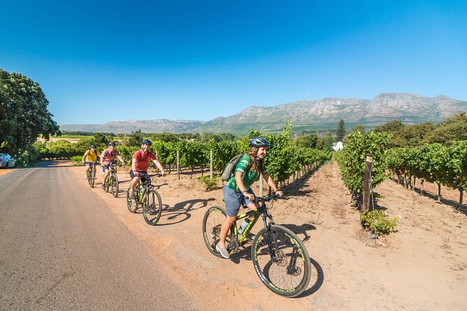 Private Cycling Tour of Constantia Winelands - Your hotel pickup and start in the valley