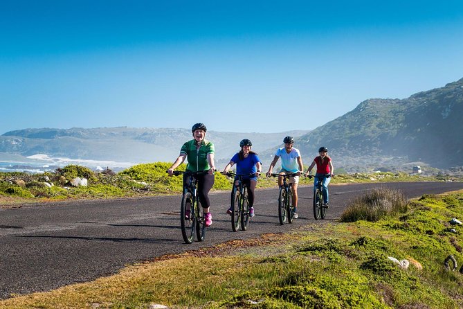 Private Cycling Tour of The Cape Peninsula from Cape Town - What kind of Cape Peninsula day is this?