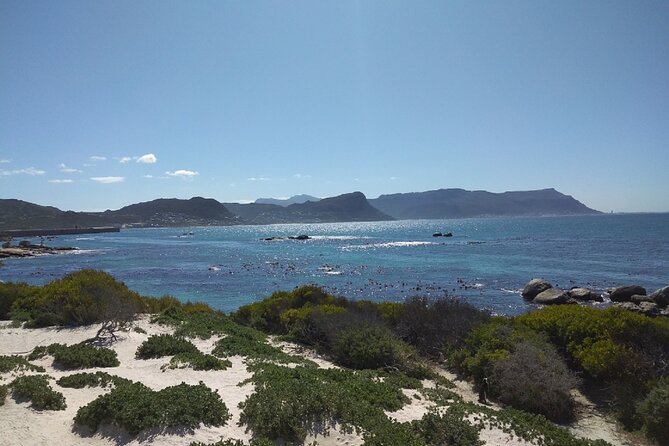 Private Day tour of the Cape. Our reviews show why people book! - Cape Point Nature Reserve supplies the wildest scenery