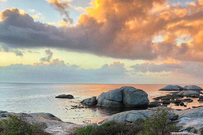Private Day tour of the Cape. Our reviews show why people book! - What the price really includes