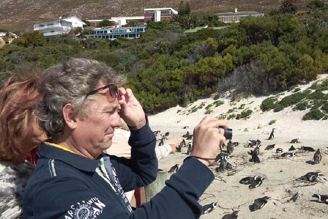 Private Day tour of the Cape. Our reviews show why people book! - Practical details that affect your day