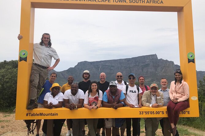 Private Day tour of the Cape. Our reviews show why people book! - Chapman’s Peak puts the road beside the Atlantic