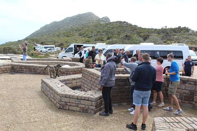 Private Day Tour to Cape of Good Hope Penguins Inc Entry Tickets from Cape Town - Cape of Good Hope: the dramatic southern viewpoint