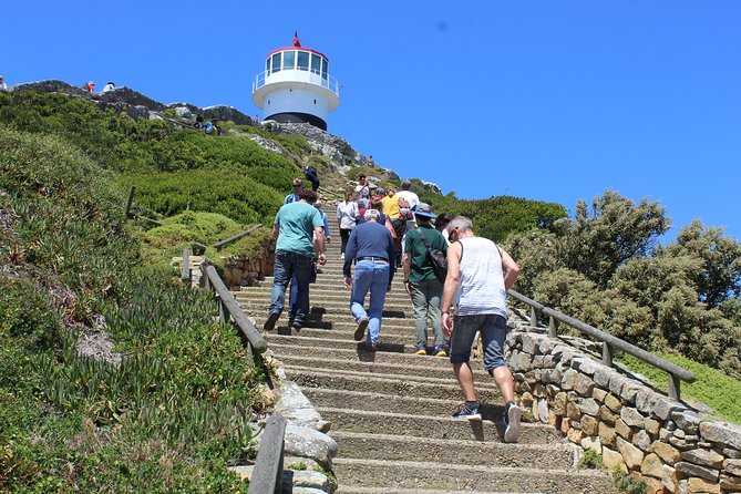 Private Day Tour to Cape of Good Hope Penguins Inc Entry Tickets from Cape Town - Hout Bay and Chapman’s Peak: the best road scenery of the day