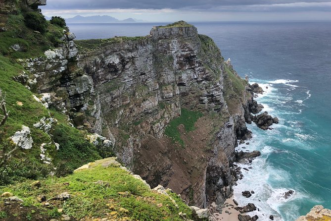 Private Day Tour to Cape Point , Penguins, Wine or Beer Tasting - A private Cape Peninsula day without bus-tour stiffness