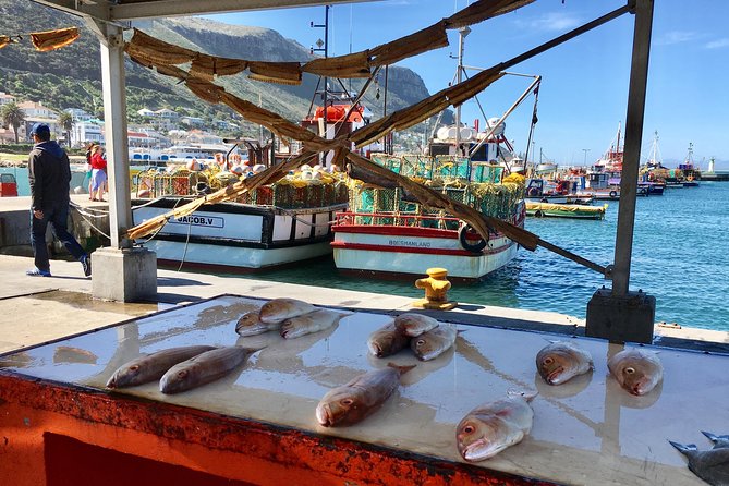 Private Day Tour to Cape Point , Penguins, Wine or Beer Tasting - A short pause at Long Beach and the ostrich farm