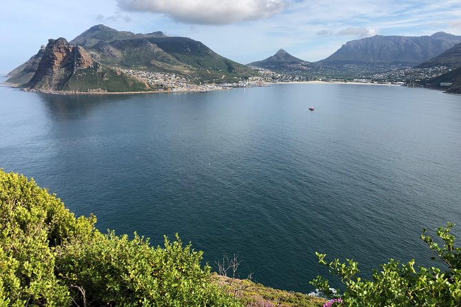 Private Day Tour to Cape Point , Penguins, Wine or Beer Tasting - False Bay views at Boyes Drive