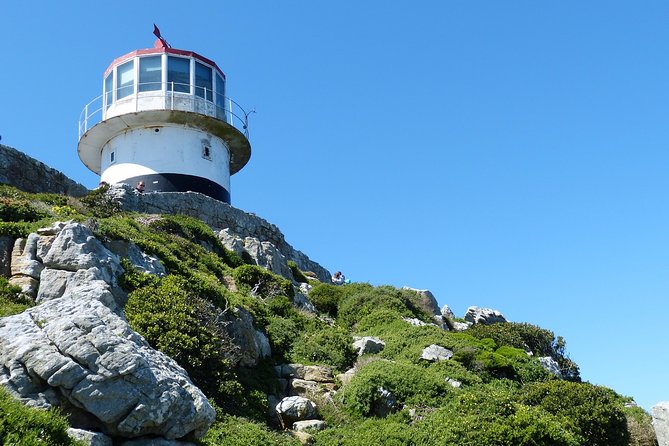 Private day tour to the Cape of Good Hope - Why this private Cape Peninsula tour works well