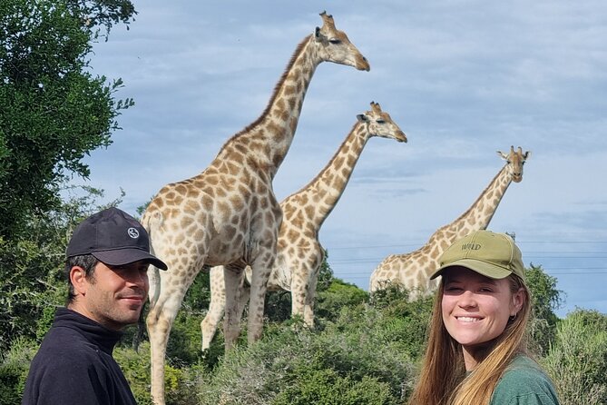 Private Full-Day Addo Elephant Park & Giraffe Walk - The South African braai at midday
