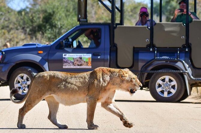 Private Full Day Safari l Kruger National Park from Hazyview or Skukuza - Key points before you book