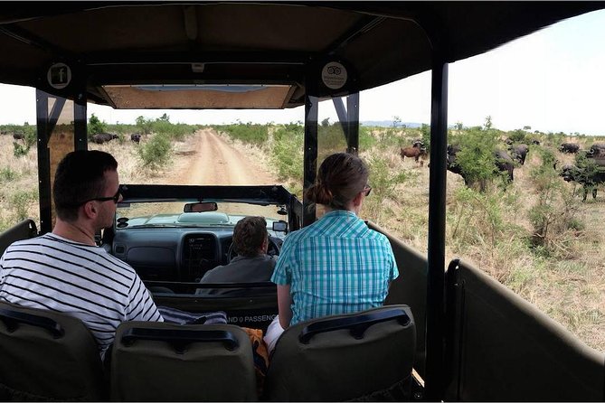 Private Full Day Safari l Kruger National Park from Hazyview or Skukuza - A 5:00 am start gives you the best use of the day