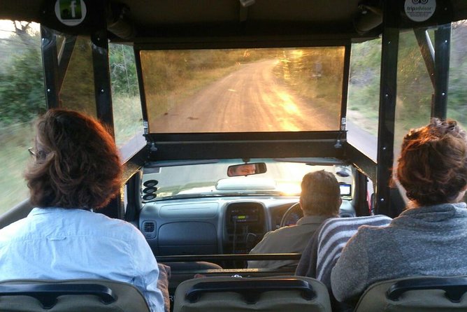 Private Full Day Safari l Kruger National Park from Hazyview or Skukuza - Private group size changes the feel of the day