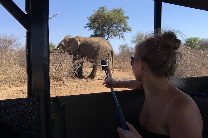 Private Full Day Safari l Kruger National Park from Hazyview or Skukuza - Who will enjoy this Kruger safari most