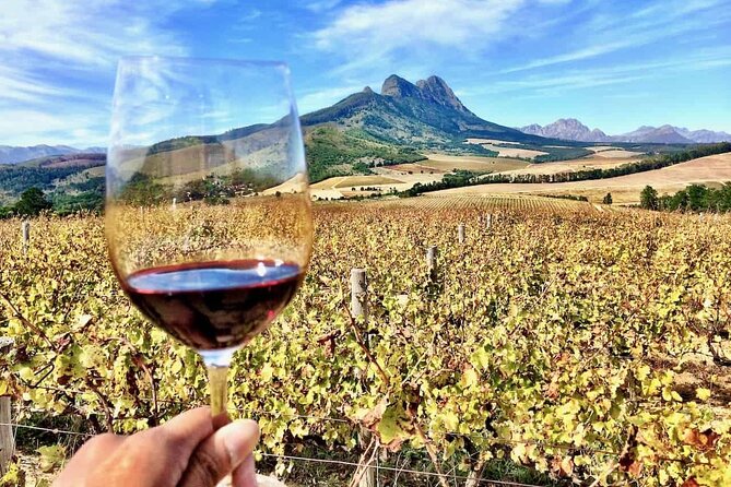 Private Full Day Stellenbosch Wine Tour - Rust en Vrede: a red-wine focus