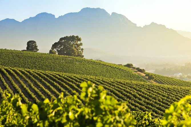 Private Full Day Stellenbosch Wine Tour - Delaire Graff: polished wine-country style