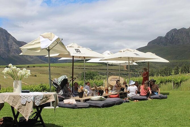 Private Full Day Stellenbosch Wine Tour - Tokara: views, wine, and a final contrast