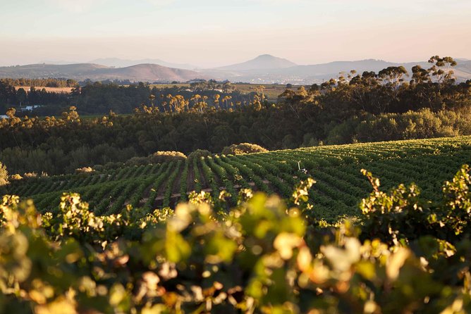 Private Full Day Stellenbosch Wine Tour with Pick Up and Drop Off - Key points to know before booking