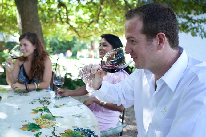 Private Full Day Stellenbosch Wine Tour with Pick Up and Drop Off - Tokara is the lunch stop, not an included meal