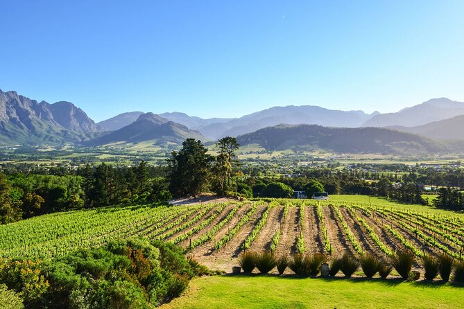 Private Full Day Stellenbosch Wine Tour - A short look at Stellenbosch town