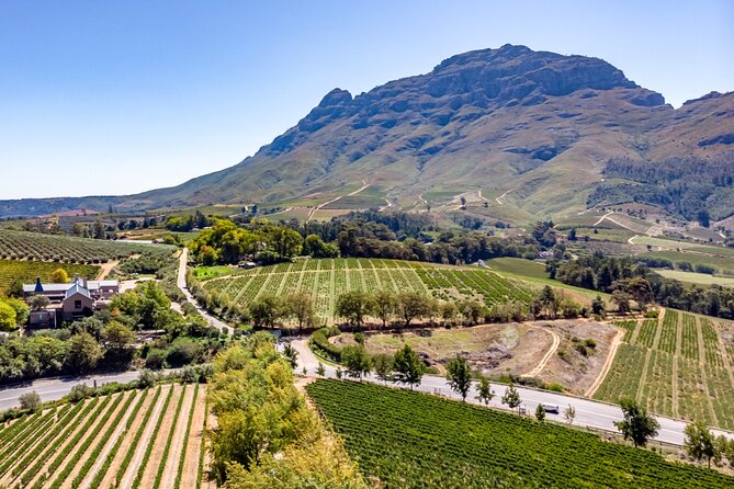 Private Full Day Wine Tour in Cape Town - Why this private Cape Winelands day works