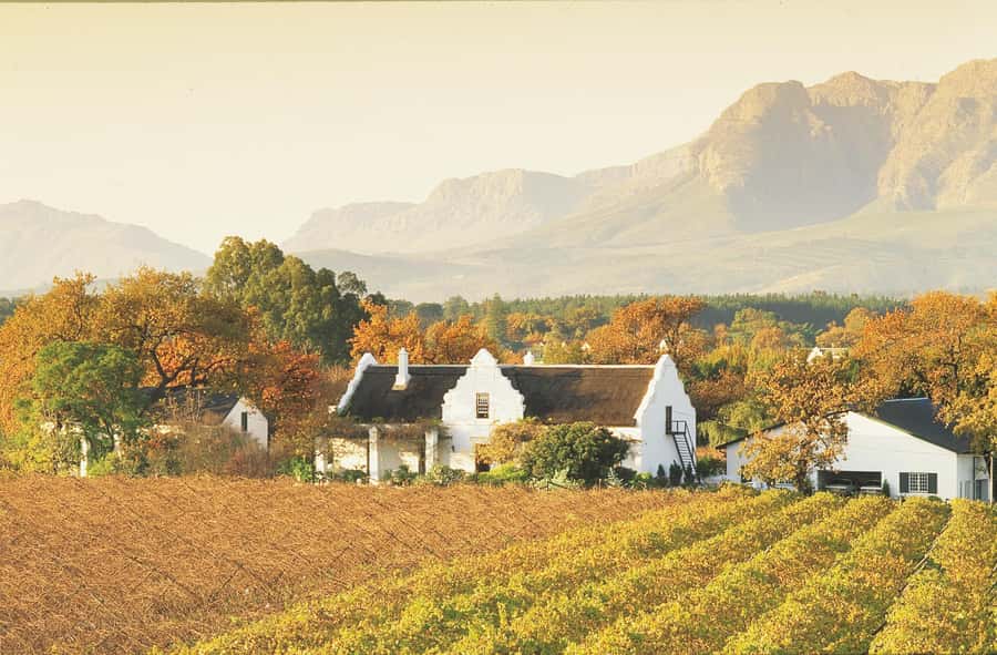 Private Full-Day Winelands Tour in Stellenbosch - Two estate visits with very different moods