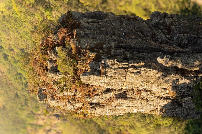 Private Guided Panorama Full Day Tour - Graskop Gorge, the final choice of the day