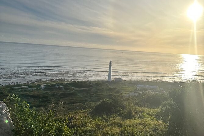 Private Guided Tour in Cape of Good Hope and Table Mountain - Noordhoek Farm Village and a short coffee break