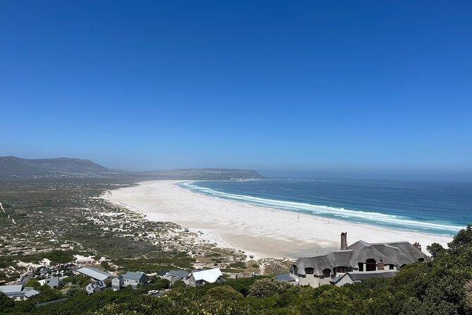 Private Guided Tour in Cape of Good Hope and Table Mountain - Simon’s Town and the story of Just Nuisance