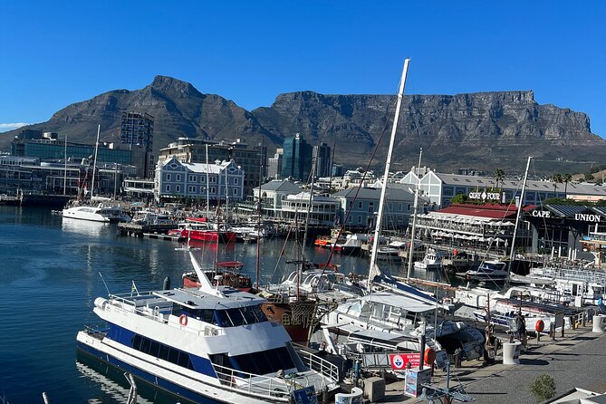 Private Guided Tour in Cape of Good Hope and Table Mountain - Boulders Beach and the African penguins