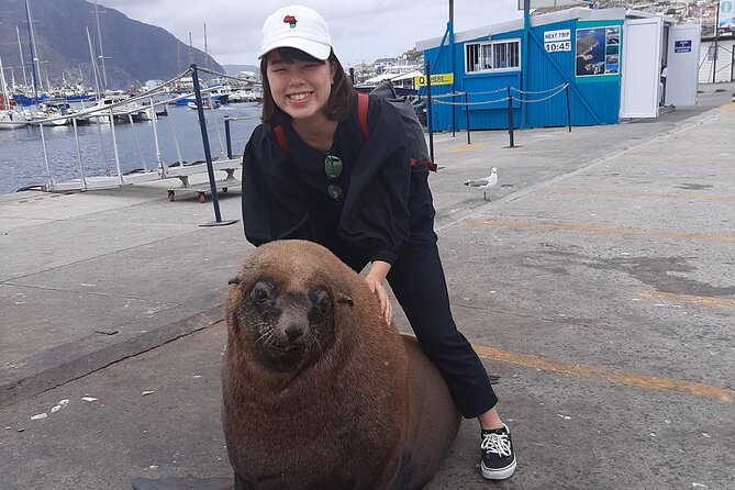 Private Guided Tour to Cape of Good Hope and Penguins Colony - Noordhoek Farm Village supplies a useful pause