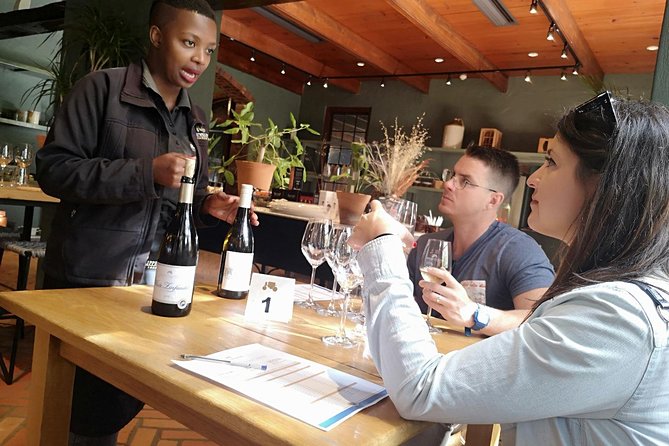 Private Half DayTour:Cape Winelands, Stellenbosch from Cape Town - Wheelchair access and practical comfort