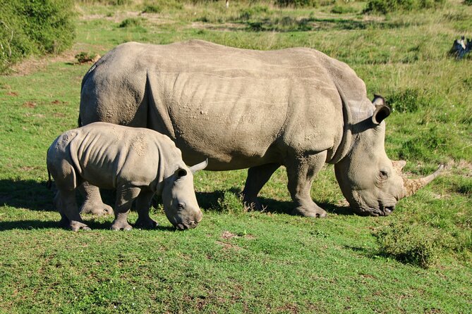 Private Kruger Park Safari and Panorama Route - What the price includes, and what it leaves out