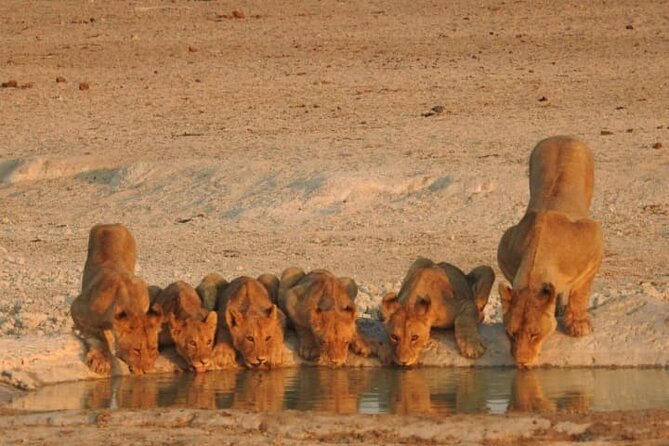 Private Kruger Park Safari and Panorama Route - Who will enjoy this three-day safari most