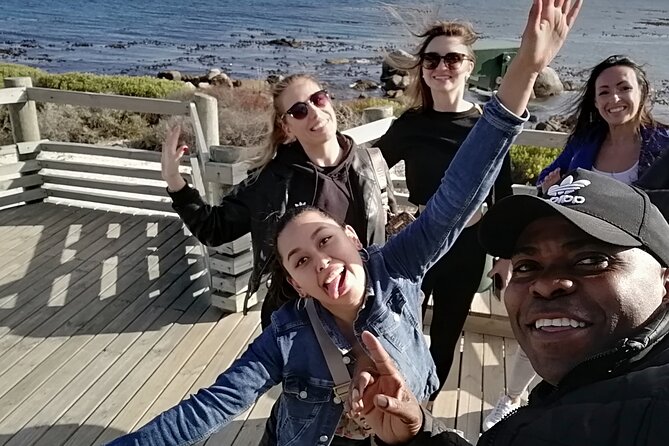 Private lovely journey to Penguins-Cape point-Cape of good hope - Cape Point and the lighthouse on Da Gama’s Peak