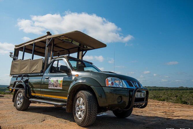 Private Morning Game Drive from Hazyview l Kruger National Park - Key points before you book