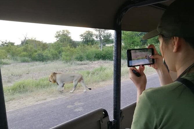 Private Morning Game Drive from Hazyview l Kruger National Park - Entering Kruger with a guide at the wheel