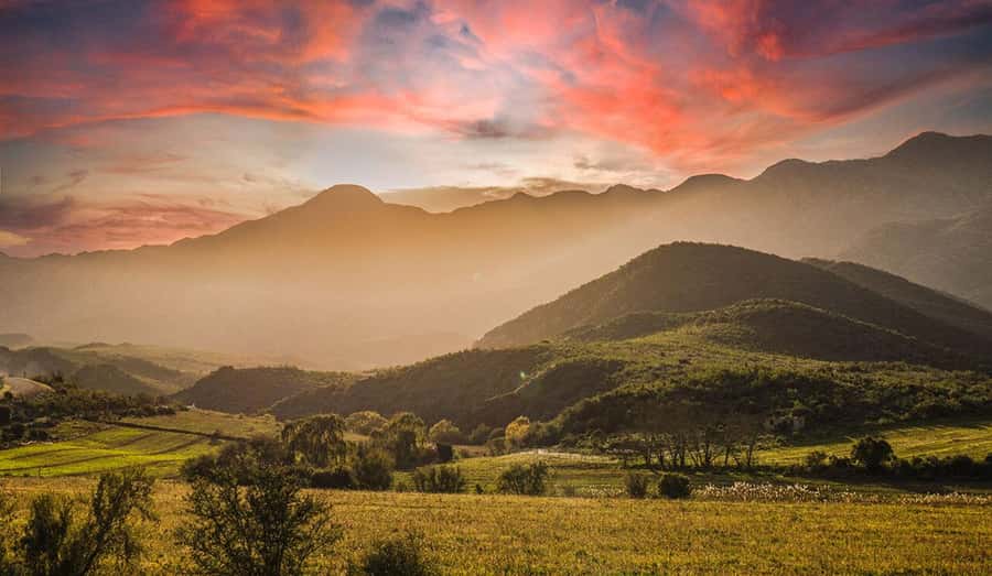 Private Oudtshoorn Full Day Tour - Why this Oudtshoorn day works so well