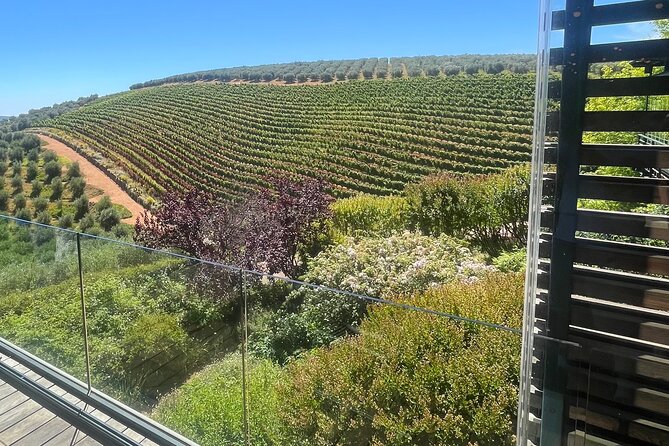 Private/Personalized Full Day Wine Tasting Tour Cape Winelands - The second estate: contrast is the point