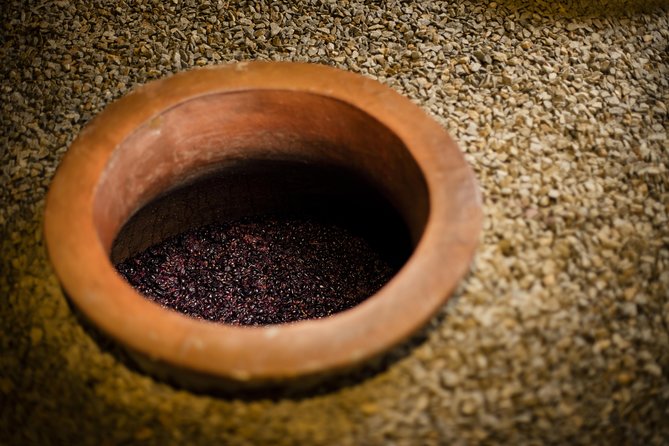 Private Stellenbosch, Franschhoek and Paarl Wine Tour - Who should book this wine day?