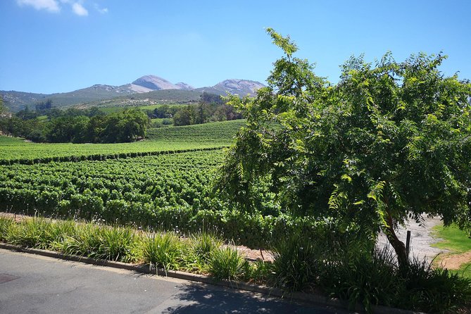 Private Stellenbosch, Franschhoek Paarl Wine Tour from Cape Town - Stellenbosch begins with gardens, avenues, and wine