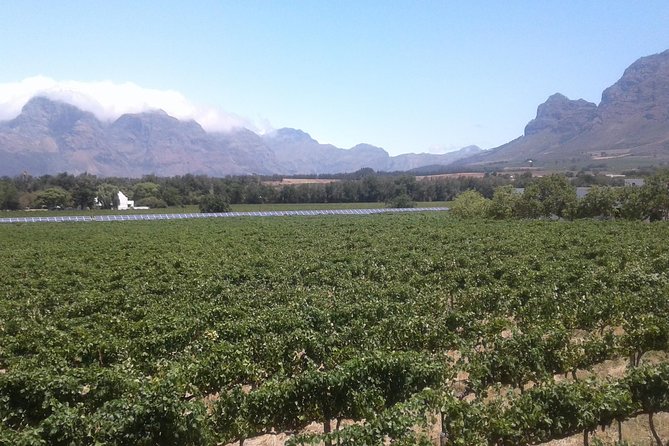 Private Stellenbosch, Franschhoek Paarl Wine Tour from Cape Town - Helshoogte Pass supplies the big views