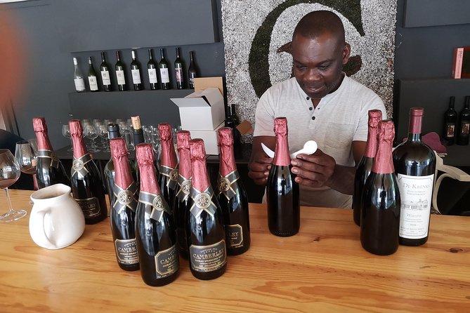 Private Stellenbosch, Franschhoek Paarl Wine Tour from Cape Town - Who should book this Cape Winelands day?