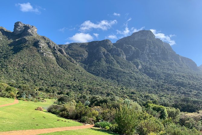 Private Table Mountain, Kirstenbosch and Constantia Wine Tasting. - Two hours among Kirstenbosch’s plants and paths