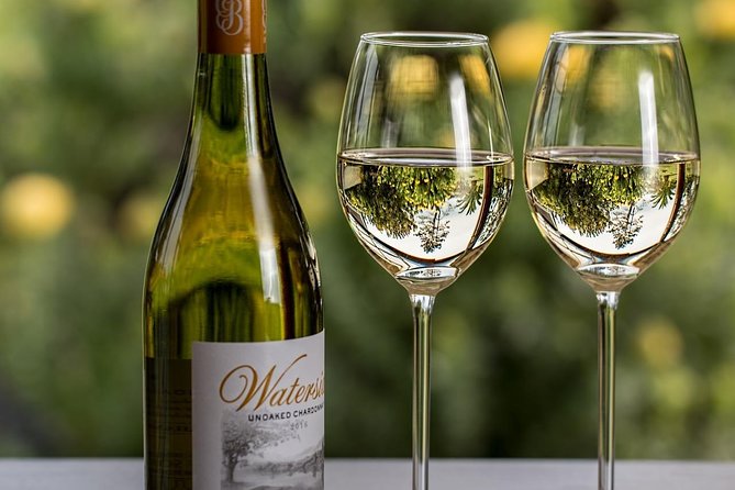 Private Table Mountain, Kirstenbosch and Constantia Wine Tasting. - The pace, transport, and group experience