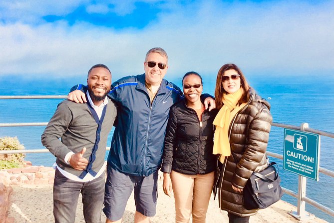 Private Tour: Boulders Beach Penguin Colony and Cape of Good Hope - Chapman’s Peak is the road-trip highlight