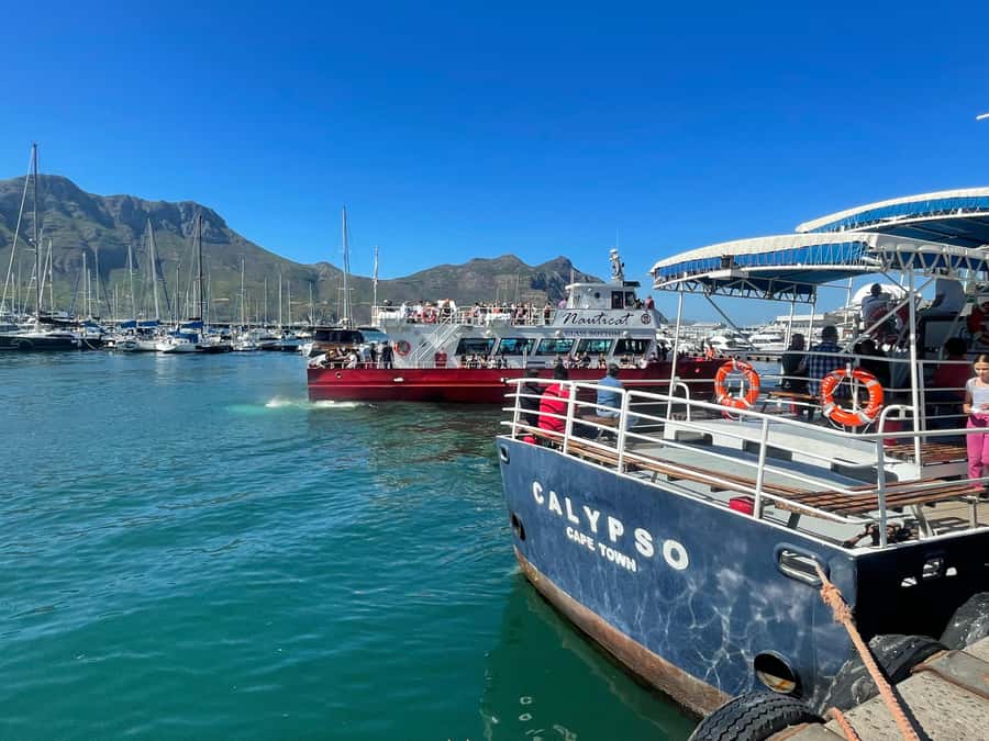 Private Tour:Cape of Good Hop>Chapman’s >Penguin>Seal island - Lunch at Two Oceans and what you pay extra